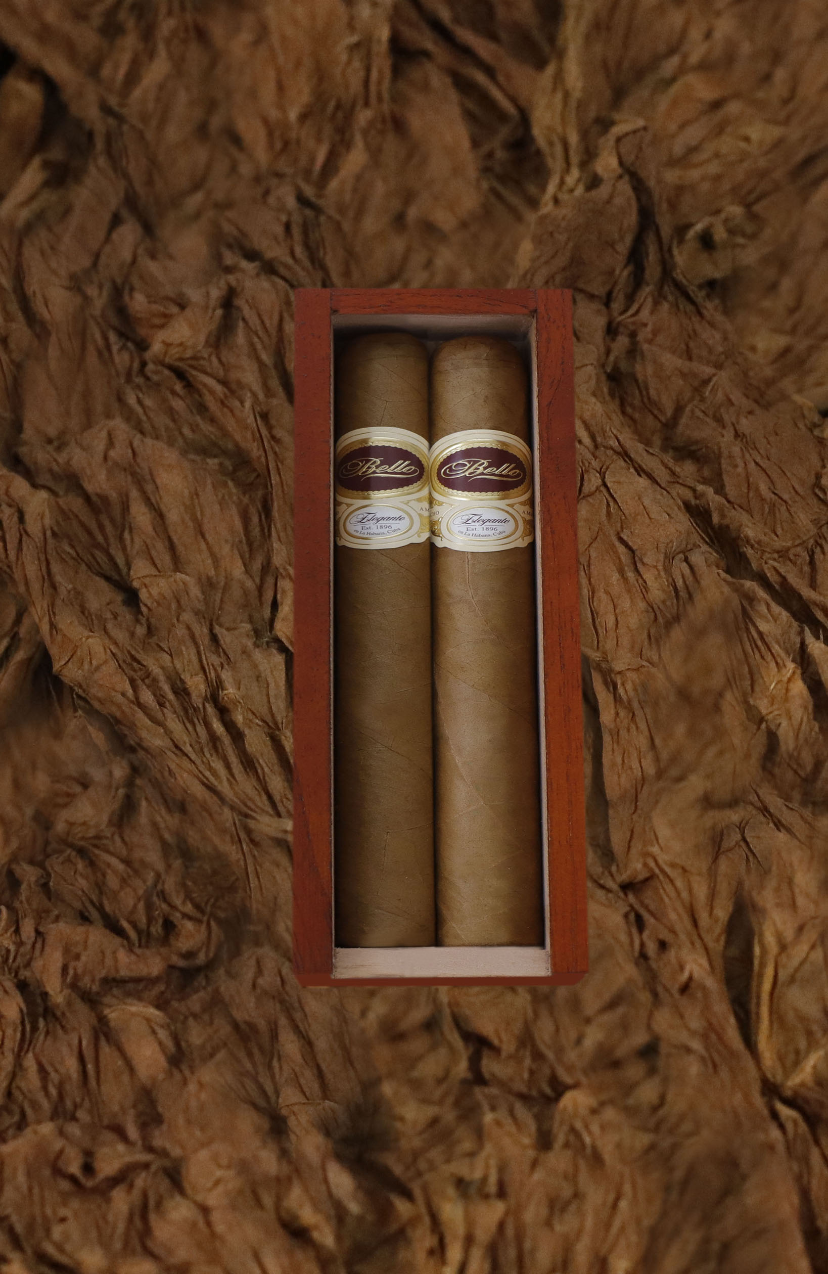 Robusto Conneticut Shade pic1